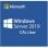 Microsoft 5 User CAL per Windows Server Standard o Datacenter 2019 spagnolo