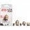 Tribu Star Wars BB8 Or 16 Go USB 2.0