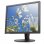 Lenovo ThinkVision T1714p 17" LED SXGA