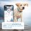 Tractive Dogs GPS Para Perros