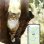 Tractive Ikati GPS de Seguimiento y Actividad Para Gatos