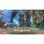 Xenoblade Chronicles Definitive Edition Edición Coleccionista Nintendo Switch
