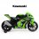 Injusa Moto Eléctrica con Licencia Kawasaki Ninja ZX10 12V Verde
