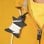 Nite Ize Curvyman Organizador de Cables para Auriculares