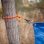 Nite Ize Gear Tie Clippable Twist Brida Reutilizable 609mm Naranja