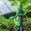 Nite Ize Gear Tie 20 Brida/Cable Reutilizable 6m Verde