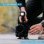Lume Cube 2.0 Pack 2 Antorchas LED Compactas