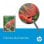 HP 364 Cartucho Tinta Original Cian