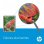 HP 364 Cartucho Tinta Original Cian
