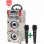 Dynasonic Karaoke 025 Altavoz Bluetooth TWS con Karaoke y 2 Micrófonos Graffiti