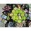 Crazy Pawn Rick and Morty 100 Días
