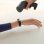 Xiaomi Mi Smart Band 4C Negra