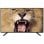 Nevir NVR-9002-554K2S-SM 55" LED UltraHD 4K