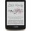 PocketBook Color eReader 6" 16GB Wifi Moon Silver