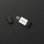 Kingston DataTraveler 80 256GB USB-C 3.2 Gen1