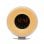 Denver CRL-340 Radio Despertador con LED