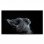 Sony Bravia FWD-75X80H/T 75" LED IPS UltraHD 4K HDR