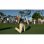 PGA Tour 2K21 PS4