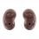 Galaxy Buds Live Auriculares Inalámbricos Bronce