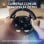 Logitech G923 Volante y Pedales para Xbox Series X/S / Xbox One / PC