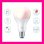 WiZ Lampadina Smart Dimmerabile Luce Bianca o Colorata Attacco E27 100W Goccia