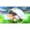 Captain Tsubasa: Rise of New Champions Collector's Edition PS4