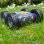 TTS Rugged Robot Robot Programable Infantil
