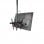 StarTech Soporte de Techo para TV de 32" a 75" Negro