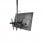 StarTech Soporte de Techo para TV de 32" a 75" Negro
