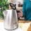 Taurus Selene Compact Hervidor de Agua 2200W