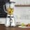 Oster Classic Batidora de Vaso 600W Cromo