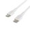 Belkin Boost Charge Cable de Carga Rápida USB-C a USB-C 1m Blanco