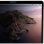 Belkin ScreenForce Filtro Privacidad para MacBook Pro 15"