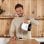 Solac Choco-Latte Calienta Leche 250W