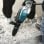 Makita HM 1203 C Noir, Bleu 1510 W