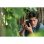 Sony CyberShot RX100 Mark VII 20MP WiFi/Bluetooth Negra