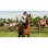 Farming Simulator 19 Édition Premium Xbox One