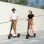 Segway Ninebot KickScooter E45E Patinete Eléctrico