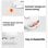 Xiaomi XM200023 Robot Aspirador