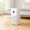 Xiaomi Mi Air Purifier 3C Purificador de Aire con Filtro HEPA