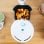 Cecotec Cecofry Compact Rapid Sun Freidora Sin Aceite 1.5L 900W