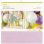 Confezione glitter Cricut da 10 cartoncini glitterati 12"x12" colori pastello