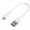 StarTech Cable USB a Lightning 15cm Blanco