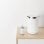 Xiaomi Mi Smart Kettle Pro Hervidor de Agua Inteligente 1.5L 1800W