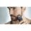 Philips Multigroom Series 5000 Barbero Inalámbrico 9 en 1