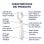 Satisfyer Endless Fun Blanco