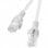Lanberg 10er-Pack RJ45 UTP Cat.5e Netzwerkkabel 25cm grau