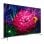 TCL 50C715 50" QLED UltraHD 4K HDR10+