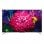 TCL 55C715 55" QLED UltraHD 4K HDR10+