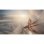 Hitman III PS4